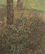 Vincent Van Gogh Undergrowth (nn04) oil